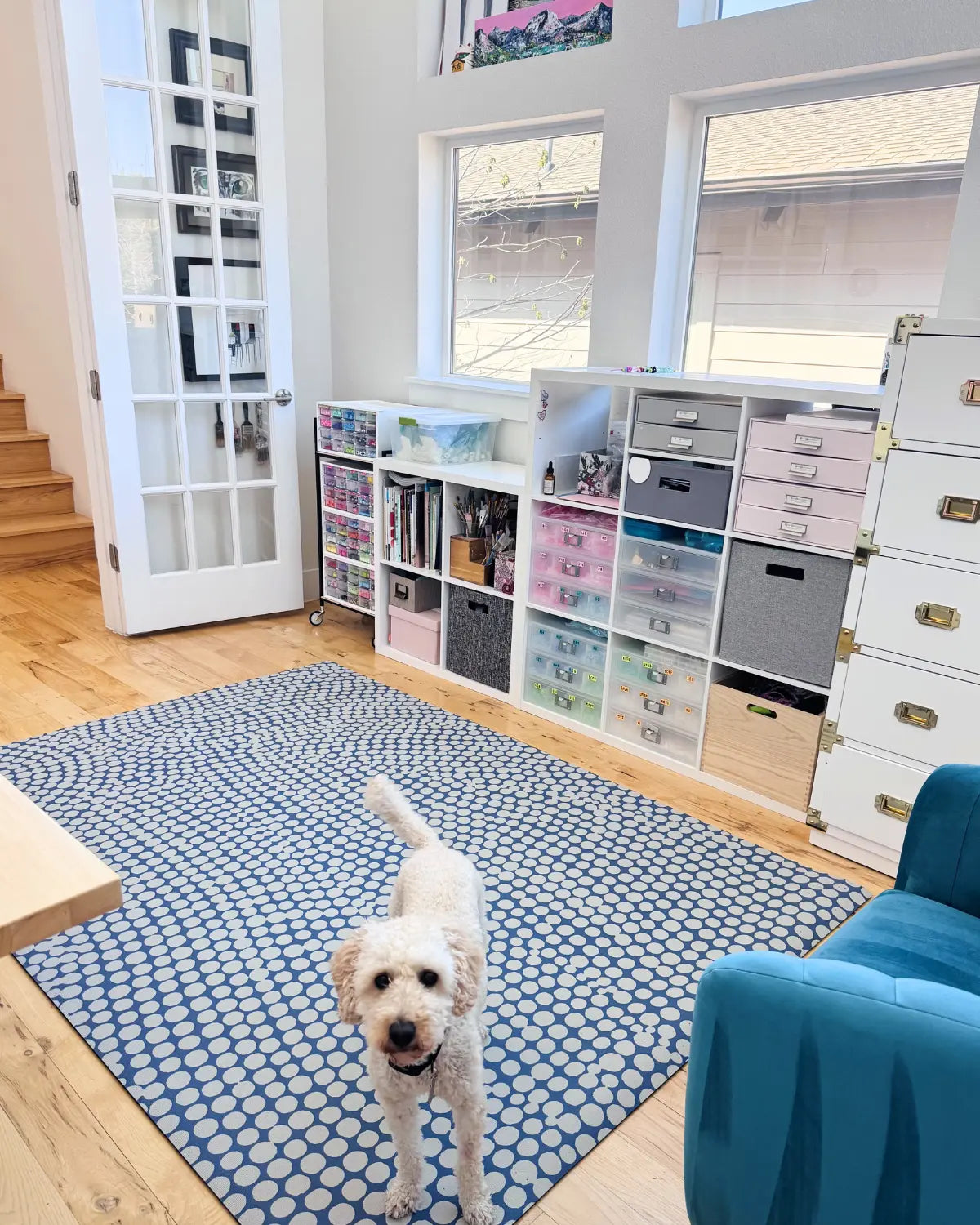 Large pet friendly mat for exercise and play in blue with modern design