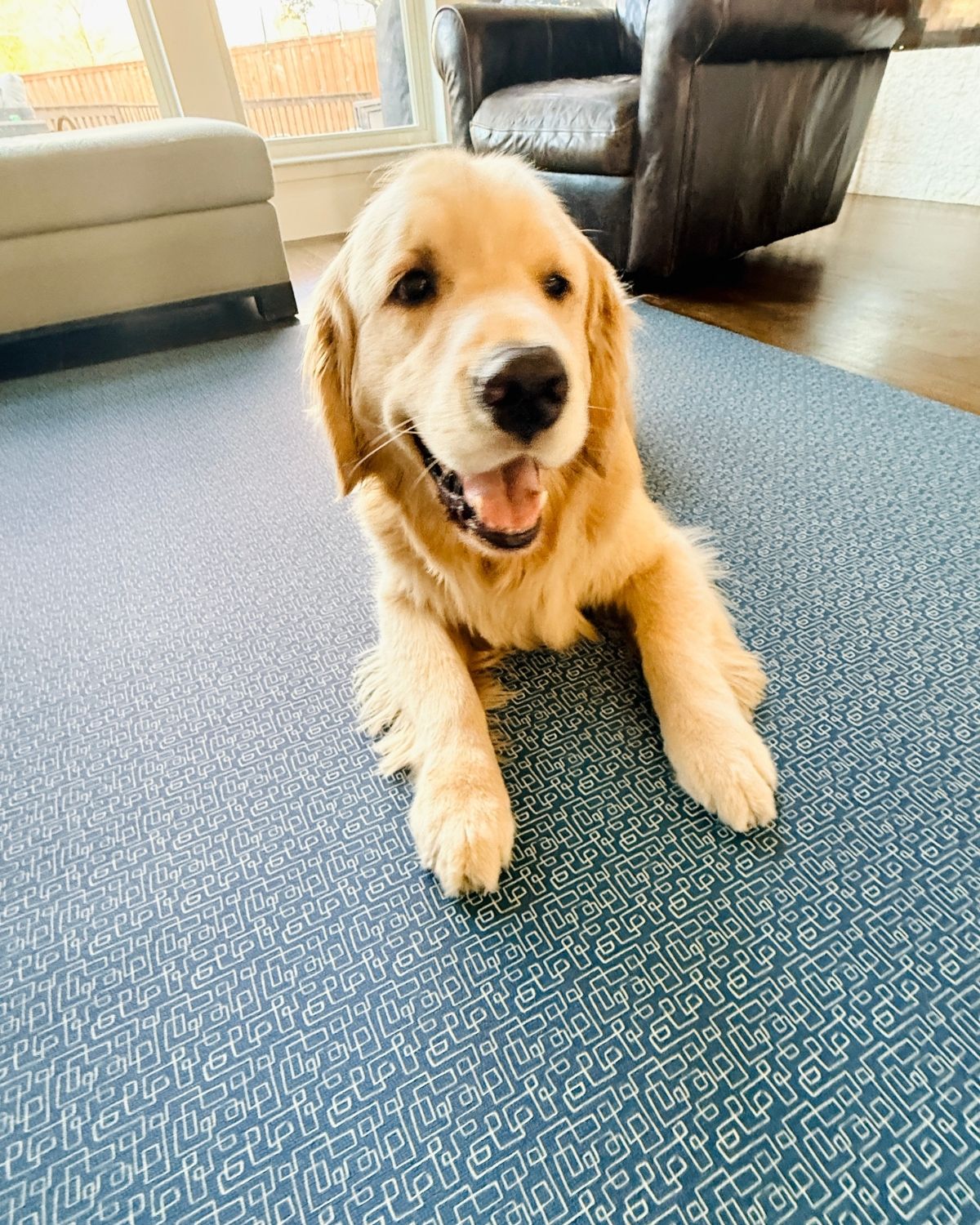 Navy blue Baby play mat and yoga mat in living room with detailed pattern