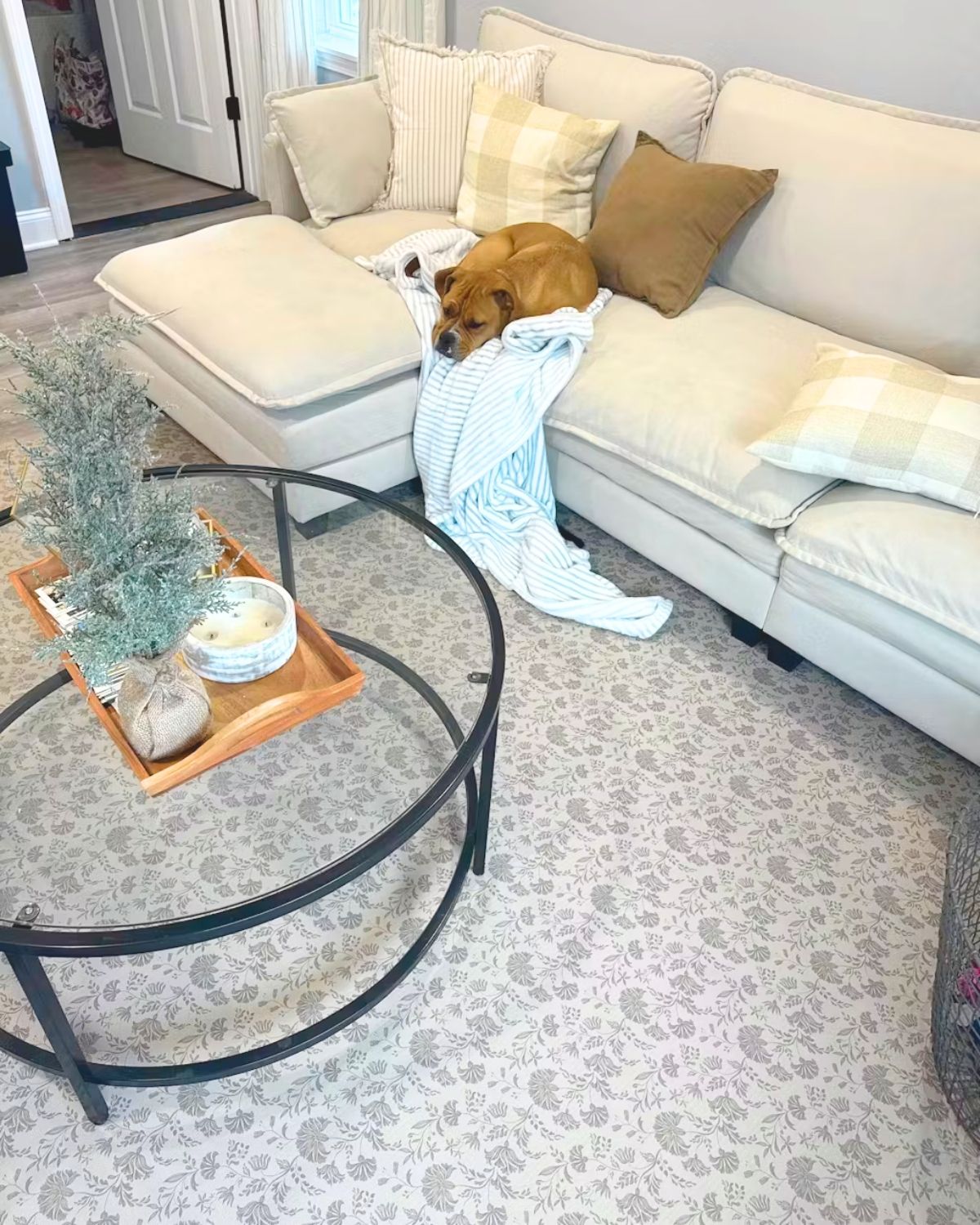 Flora Dune non-toxic extra large exercise and play mat styled in a cozy living room with cream sofa, pillows, and dog resting on blanket.